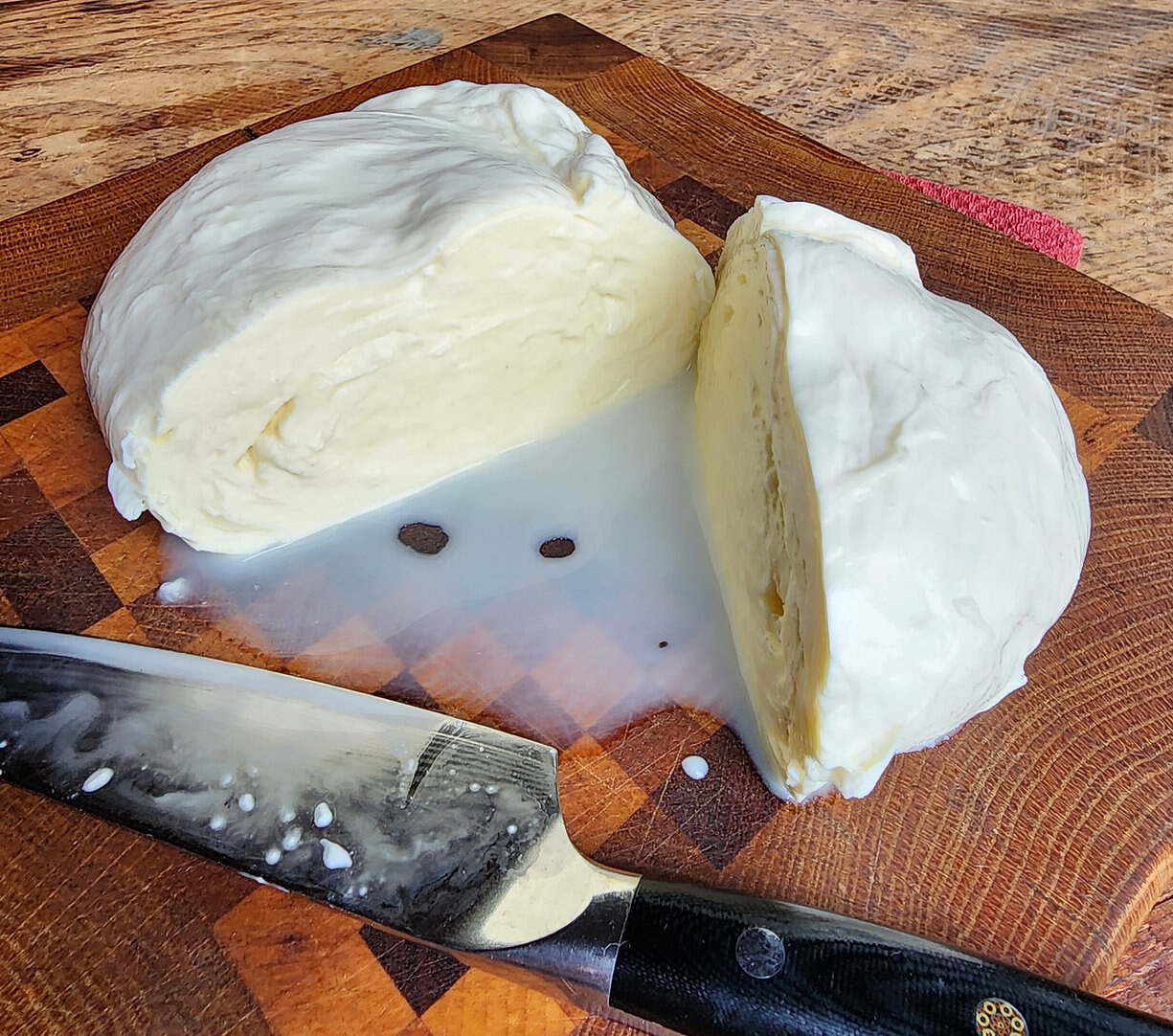 Quick Mozzarella Class