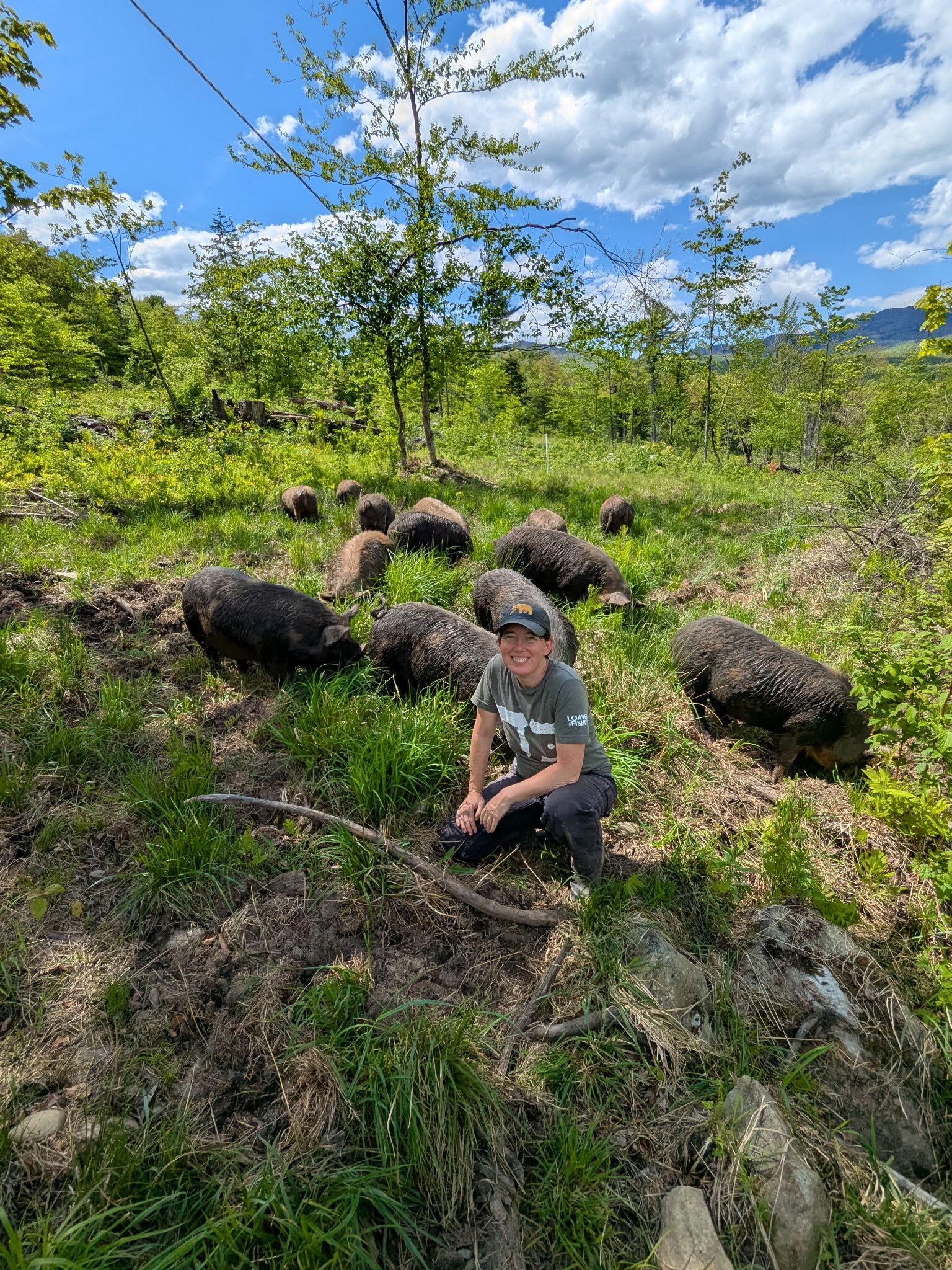 Pastured Pigs 101