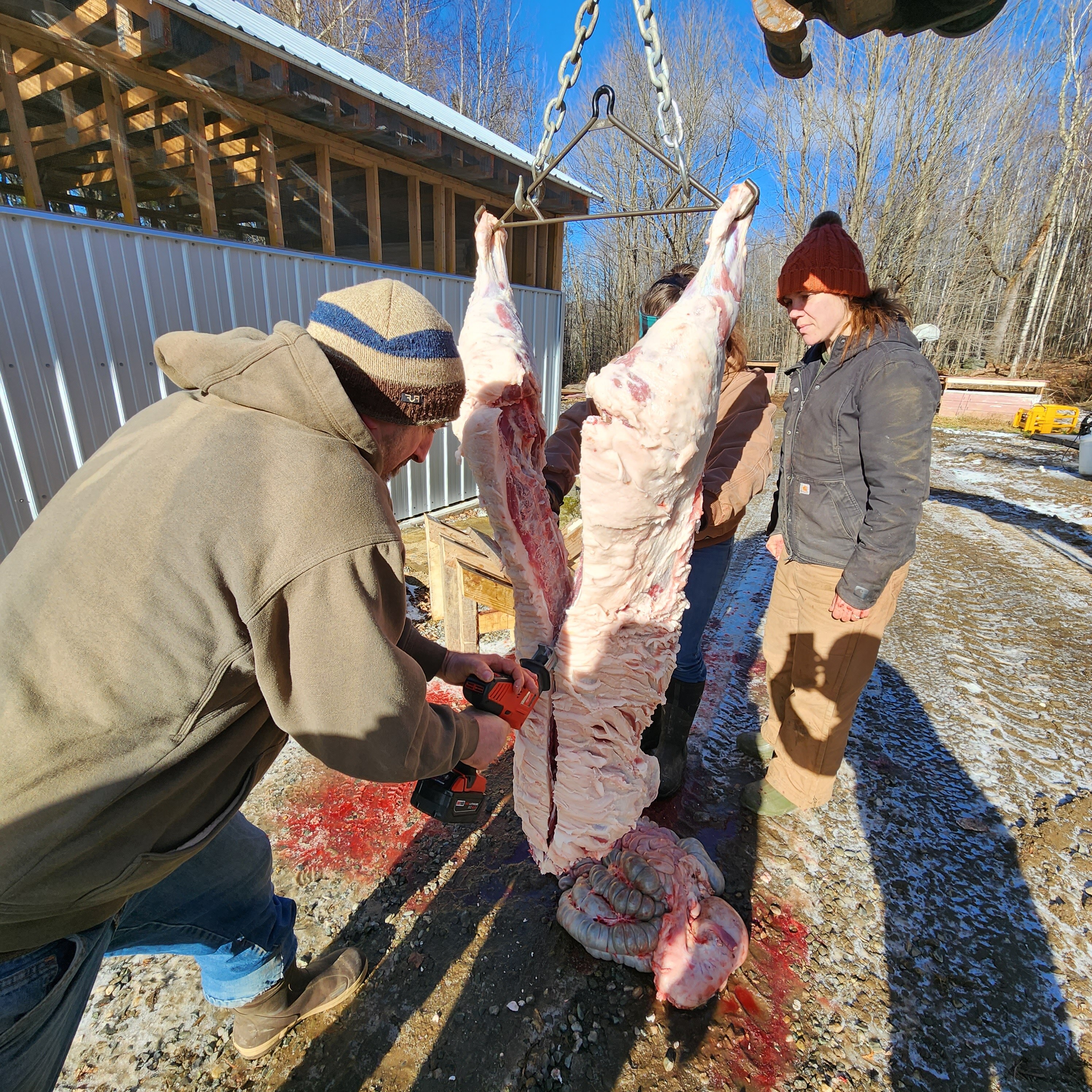 Home Hog Butchery